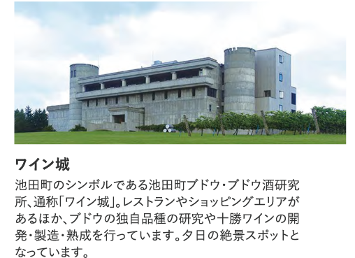 ワイン城
